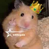 editsgaia