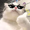 MT