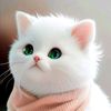 bb236773gmail.com