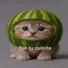 pepesinnn2