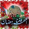 user80137569401833