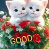 samanth8096