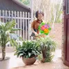 hong.yn.hong.an
