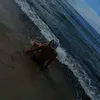 laurekk_k