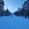 emelie_osterholm