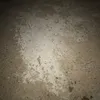 tttttcc5