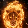 richydynasty7