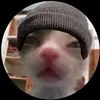 thecraz1estpanda
