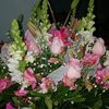 areli.berenice.he7