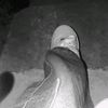 yurmilet.rhlm