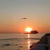 khadizrkc86