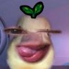 xyz_imma_