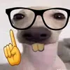 kln_midia7