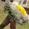 my prince