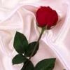user617416840011
