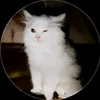_hello.baxi