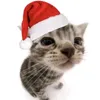hellokitty2010213