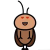 ancomnho24