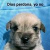 sebaaas525