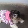 jess.huarac.pacha