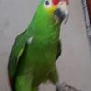 glori.lopez