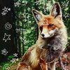 .fluffyonpawzz2