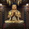 thinhong0810