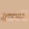 metegajahmungkur22