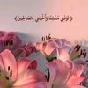 user1497770569237