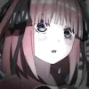 cobexamlol_