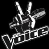 iamthevoice17
