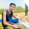 ali.030648