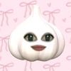putih.rose