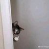 what_you_name16