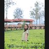 ayyu.130697