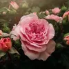 quasesemfiltro0