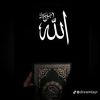 alihassen217
