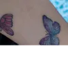 red.butterfly096