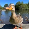 itzmathias.gaming