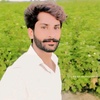 shazad.ahmad9400786