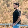 dldaar.8