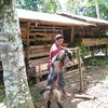 sukarman0274