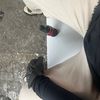 oteram_