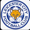 lcfc123.______