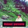 wakeelparwana06