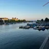 rey_k29