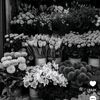 ilah_cheyaaa3