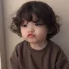 shosha_aljpory