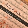 saba_shiekh