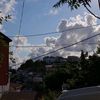 umutonline011